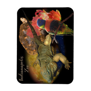 Imán Reptiles y aves del zoológico de Indianápolis