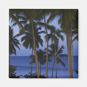 Imán República Dominicana, Península de Samaná, Las