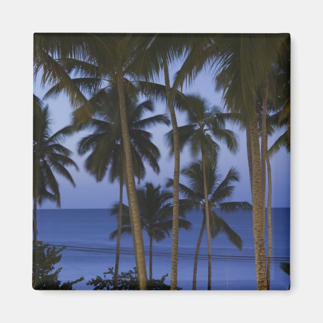 Imán República Dominicana, Península de Samaná, Las (Frente)