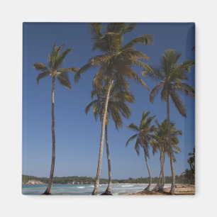 Imán República Dominicana, Región de Punta Cana, El
