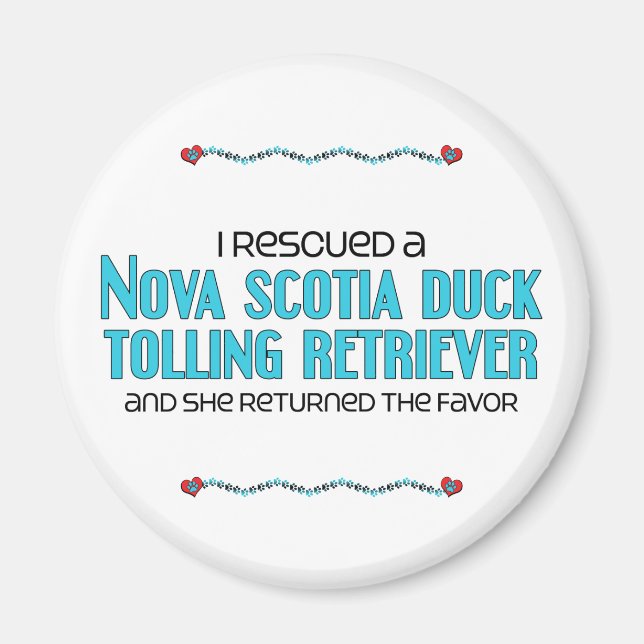 Imán Rescaté a una acaparadora de púas (Frente)