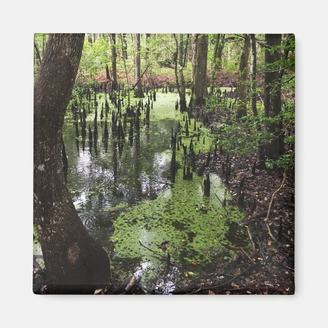 Imán reserva costera única (Frente)