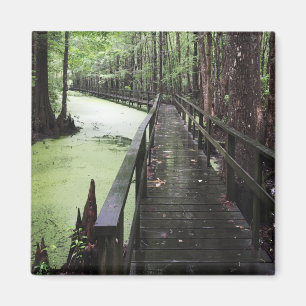 Imán reserva costera única