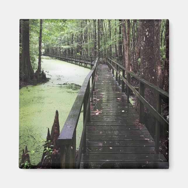 Imán reserva costera única (Frente)