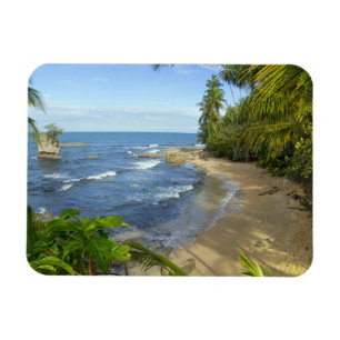 Imán Reserva de Costa Rica, Manzanillo