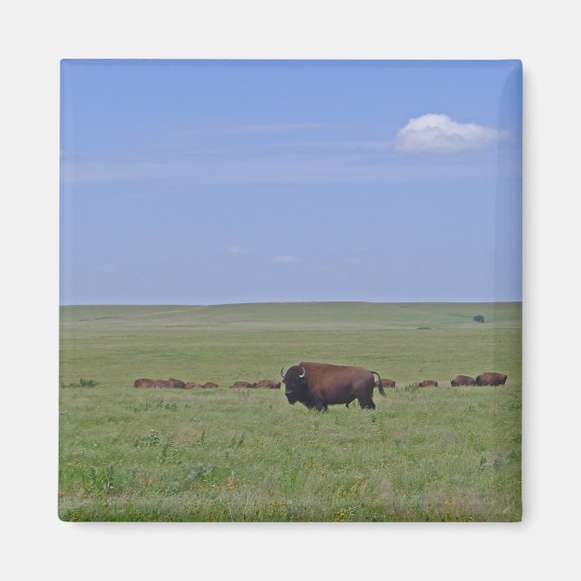 Imán Reserva Nacional Prairie de Talgrass - Kansas (Frente)