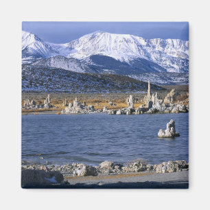 IMÁN RESERVA NATURAL DEL ESTADO DE TUFA DEL LAGO MONO,