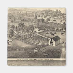 Imán Residencias de Charles Alexander