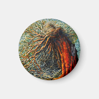 Imán Resiliencia I Círculo magnético