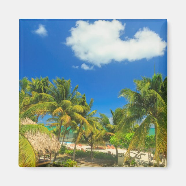 Imán Resort de playa tropical, Belice (Frente)