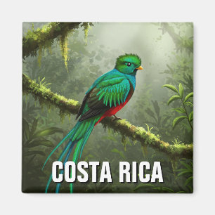 Imán Resplandor Quetzal Monteverde bosque nuboso