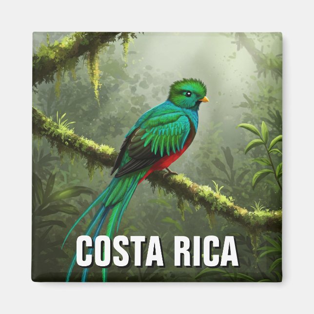 Imán Resplandor Quetzal Monteverde bosque nuboso (Frente)