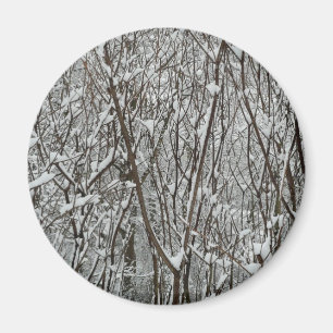 Imán Resumen de invierno de ramas cubiertas de nieve