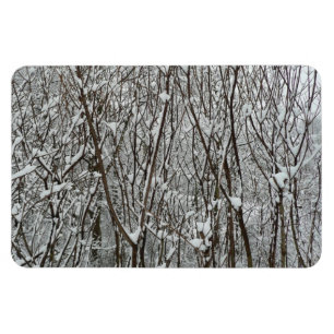 Imán Resumen de invierno de ramas cubiertas de nieve