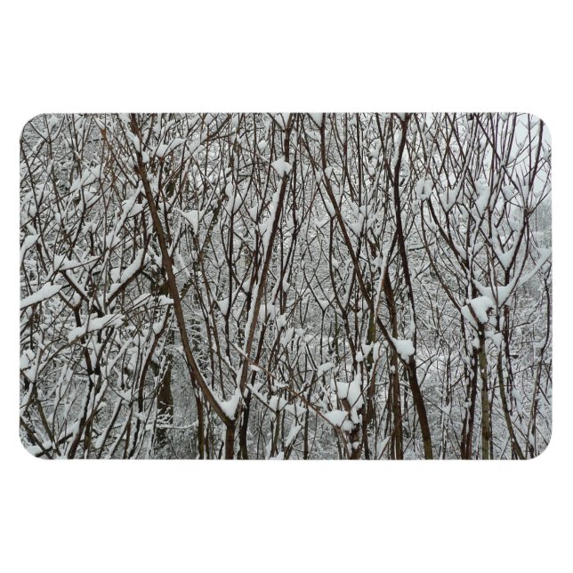 Imán Resumen de invierno de ramas cubiertas de nieve (Horizontal)