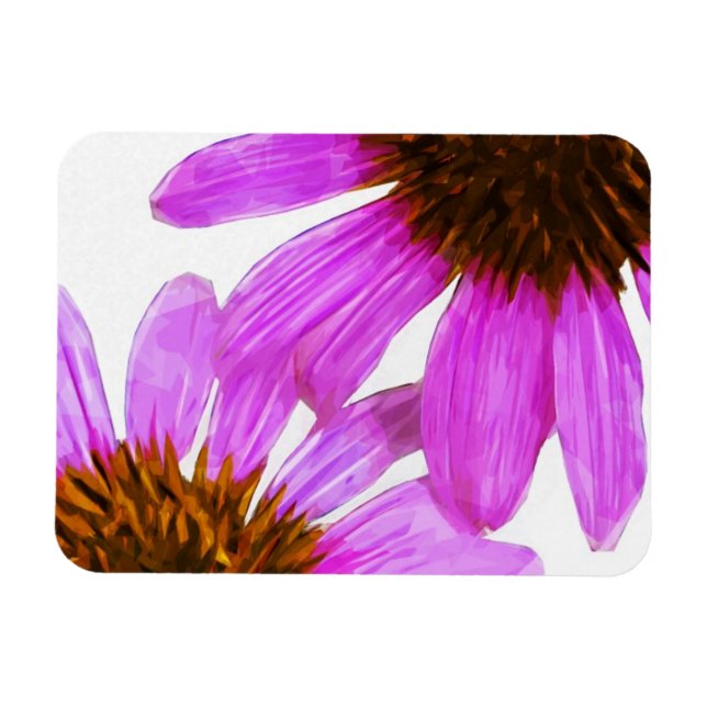 Imán Resumen de la flor de Echinacea Púrpura (Horizontal)