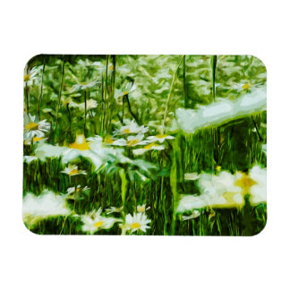 Imán Resumen de Oxeye Daisy Impresionismo