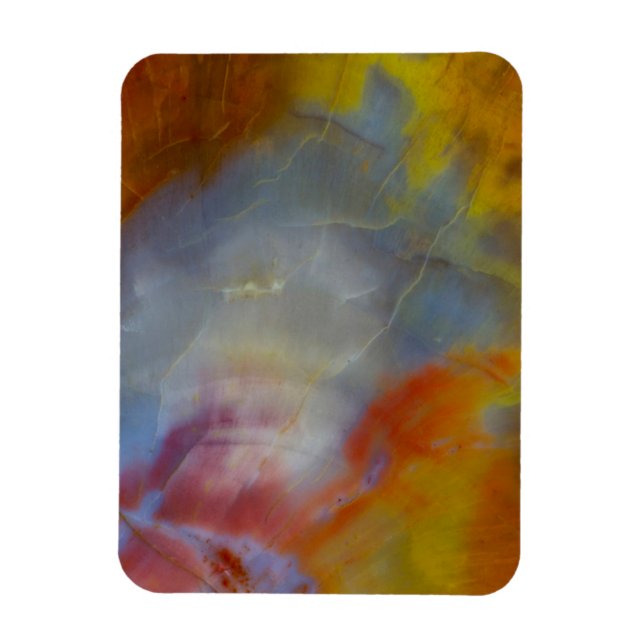 Imán Resumen de Petrified Wood (Vertical)