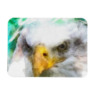Imán Resumen del águila calva estadounidense