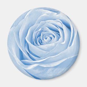 Imán Resumen fotográfico de un Rosa azul claro