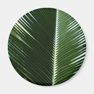 Imán Resumen verde tropical de palmeras que se abruman