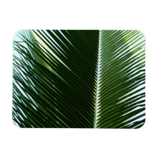 Imán Resumen verde tropical de palmeras que se abruman