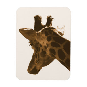 Imán Reticulación del perfil de la jirafa