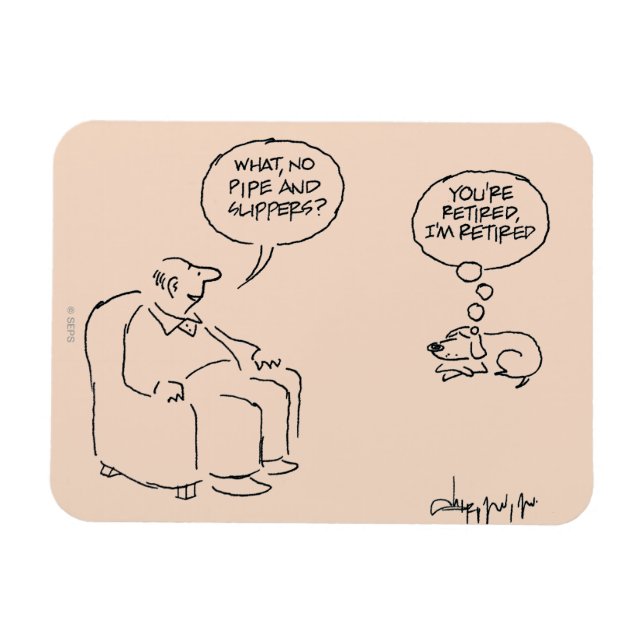 Imán Retirado (Horizontal)