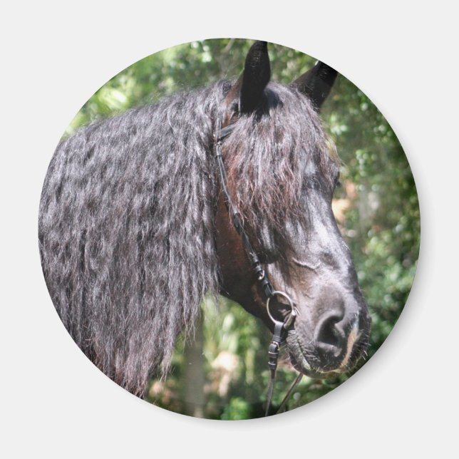 Imán Retrato (Frente)