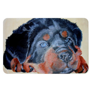 Imán Retrato artístico de Rottweiler Puppy Mascota