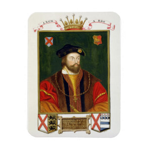 Imán Retrato de 1513-37) señores Offal de Thomas
