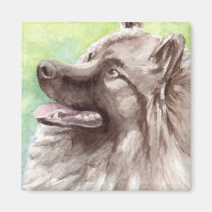 Imán Retrato de acuarela de Keeshond