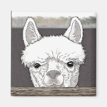Retrato de Alpaca