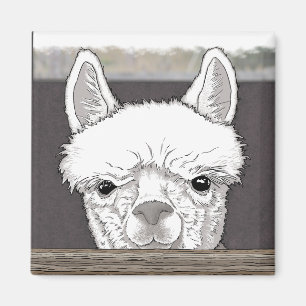 Imán Retrato de Alpaca