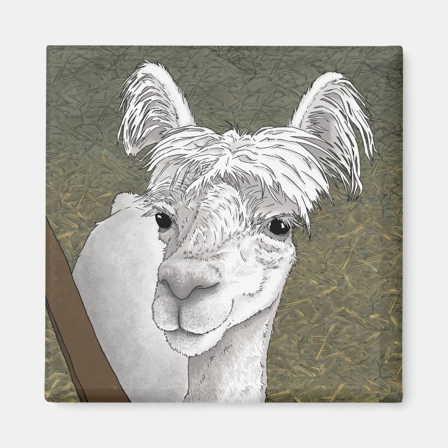Imán Retrato de Alpaca 2 (Frente)