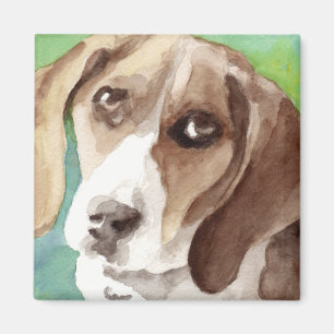 Imán retrato de Beagle en acuarela