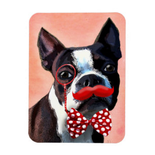 Imán Retrato de Boston Terrier con Red Bow Tie y 3