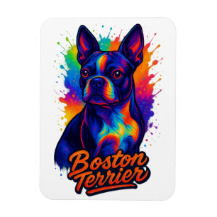 Imán Retrato de Boston Terrier Pop Art Colorido
