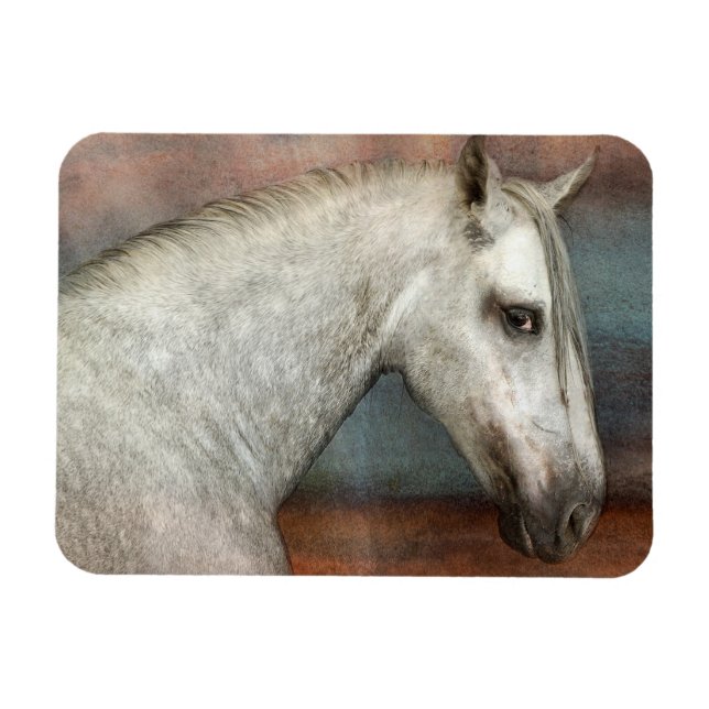 Imán Retrato de caballo andaluz y gris (Horizontal)
