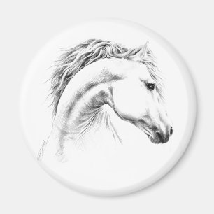 Imán Retrato de caballo Dibujo a lápiz Arte ecuestre