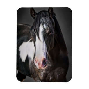 Imán Retrato de caballo II