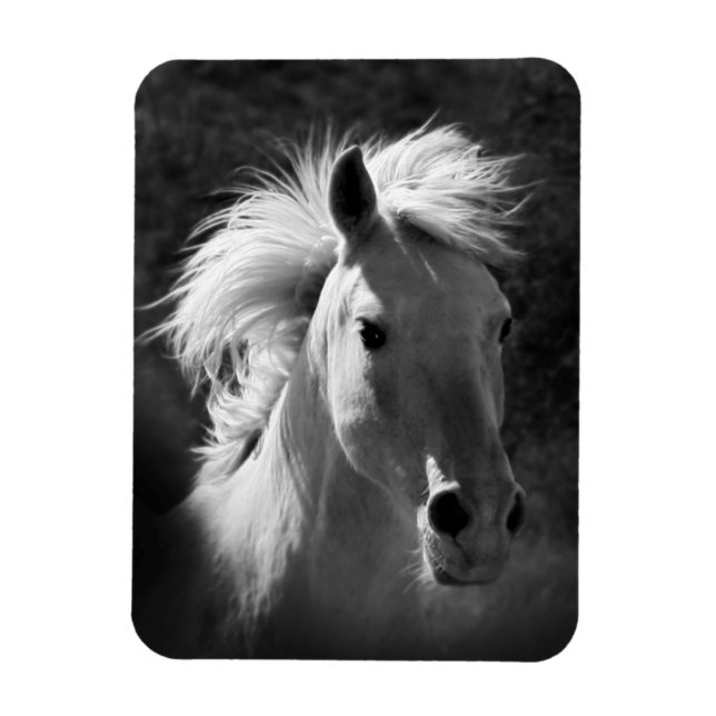 Imán Retrato de caballo V (Vertical)