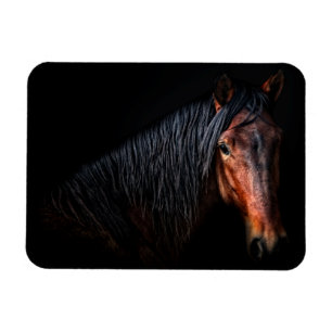 Imán Retrato de caballo VII