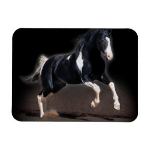 Imán Retrato de caballo VIII