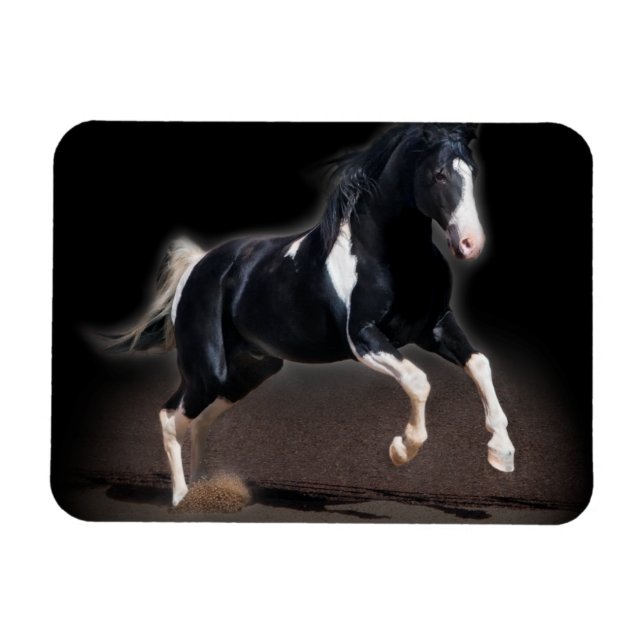 Imán Retrato de caballo VIII (Horizontal)