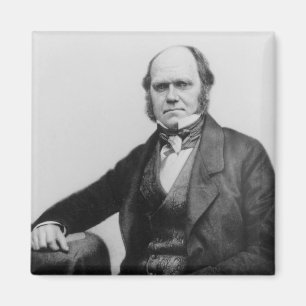 Imán Retrato de Charles Darwin, 1854