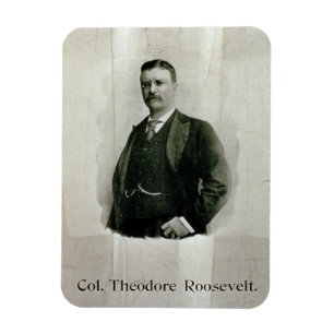 Imán Retrato de coronel Theodore Roosevelt (litho)