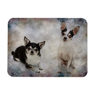 Imán Retrato de dos chihuahuas