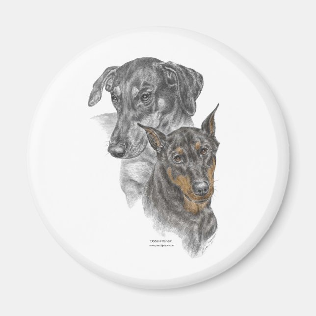 Imán Retrato de dos dobermanes (Frente)