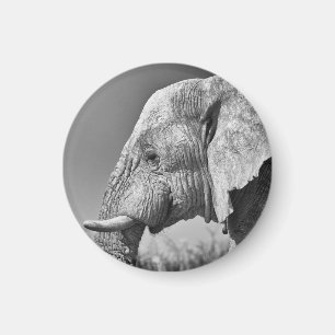 Imán Retrato de elefante